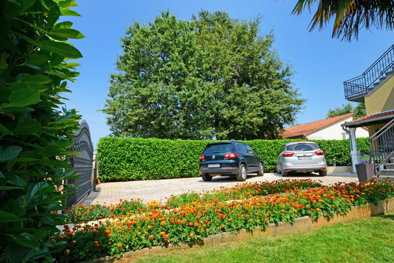 Apartment Pilic Rosini